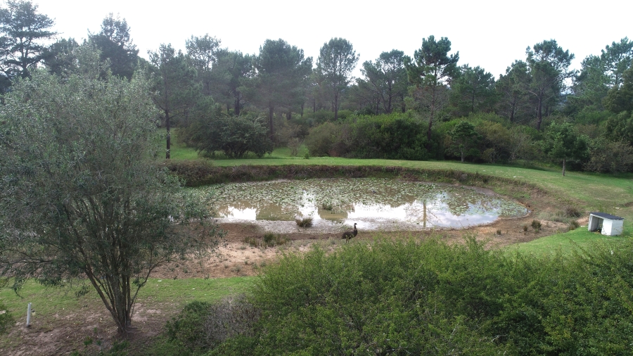 To Let 5 Bedroom Property for Rent in Rheenendal Western Cape